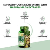 Himalayan Organics Giloy Extracts Guduchi 500mg, Antioxidant Properties, Immunity Booster, Helps In Blood Purification | For Mens & Women 120 Veg Tablets 150gm 0.3lbs